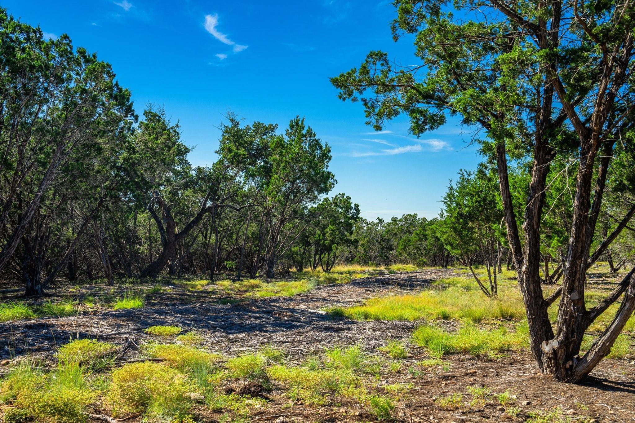 Harper, TX 78058,Tract 5 Gillespie Ridge