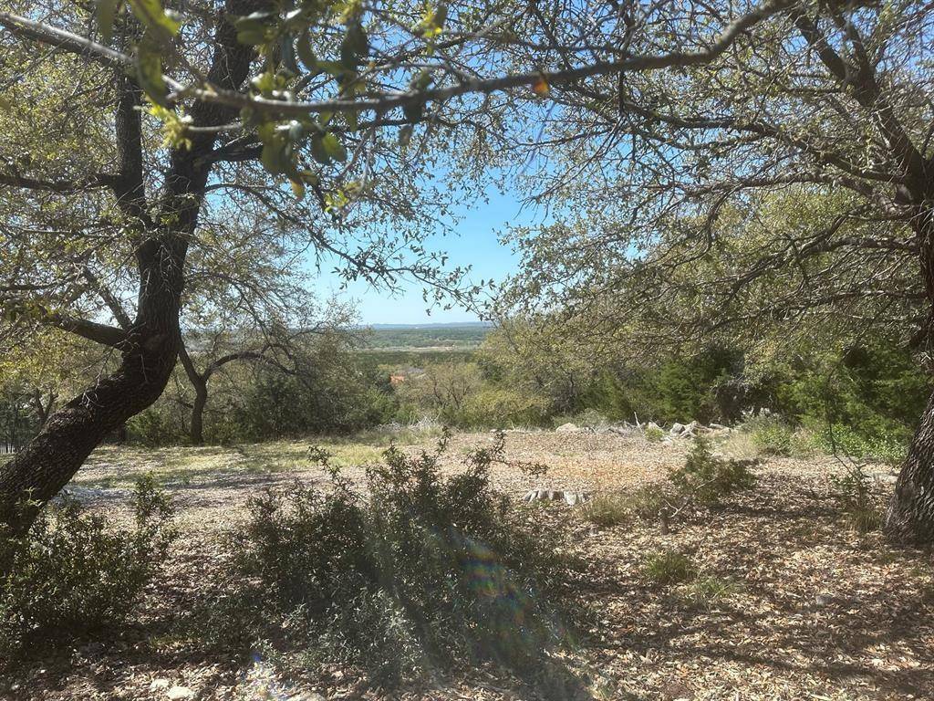 Lago Vista, TX 78645,21719 Sierra TRL