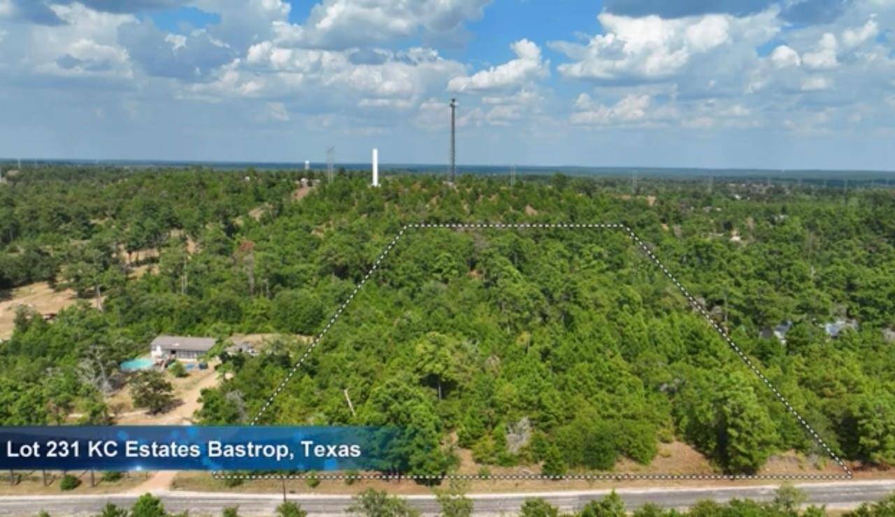 Bastrop, TX 78602,TBD PINE TREE LOOP