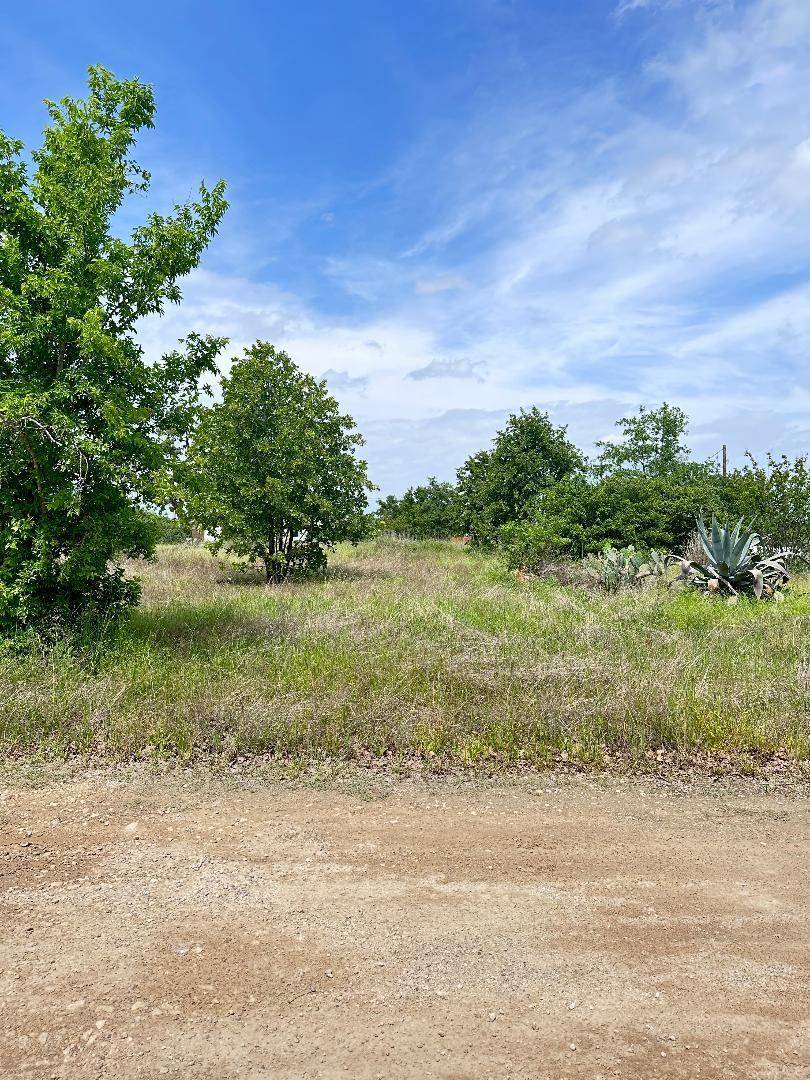 Smithville, TX 78957,138 Wild Bird LOOP