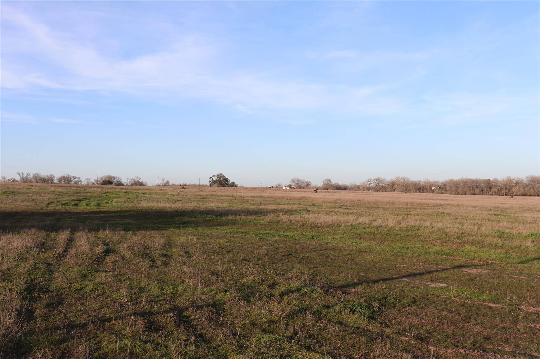 Kingsbury, TX 78638,(Lot 10) TBD Woodrow Center RD