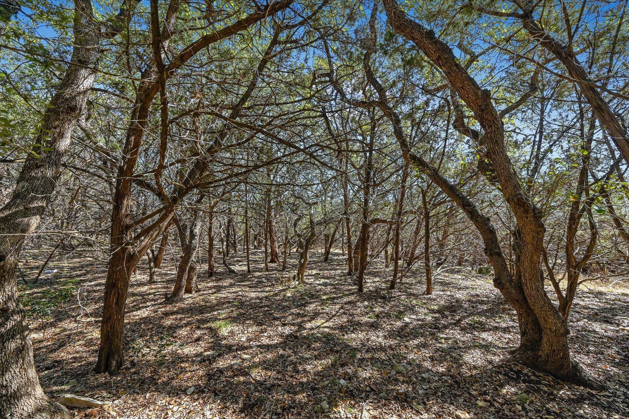 Wimberley, TX 78676,290 Hill Country TRL