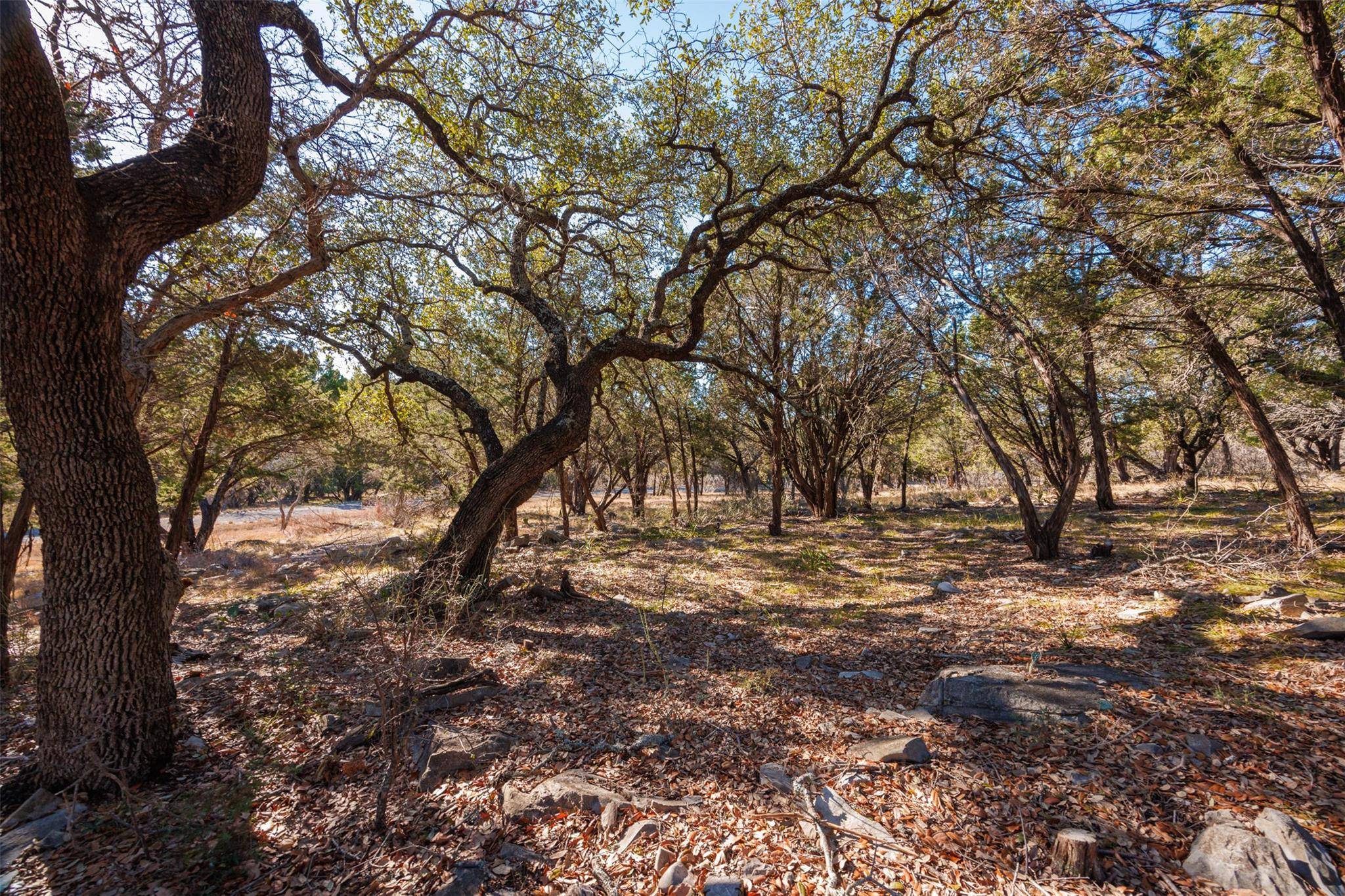 Horseshoe Bay, TX 78657,2904 Dew Drop