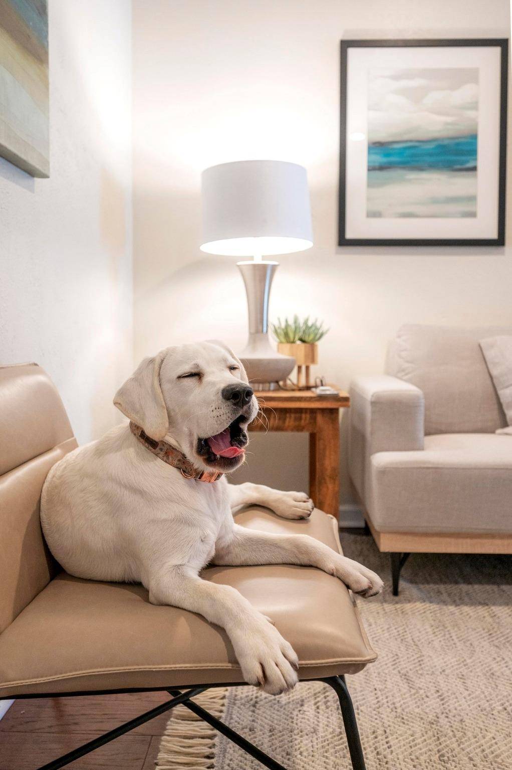 Austin, TX 78759,4503 Beaver Creek DR