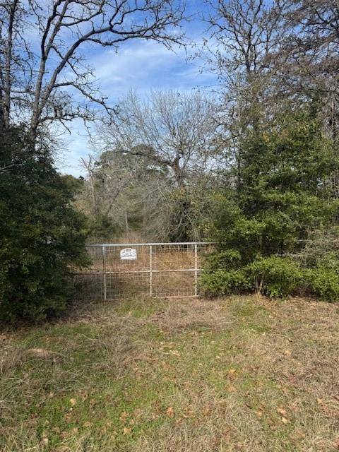 Paige, TX 78659,Lot 95 Travis RD