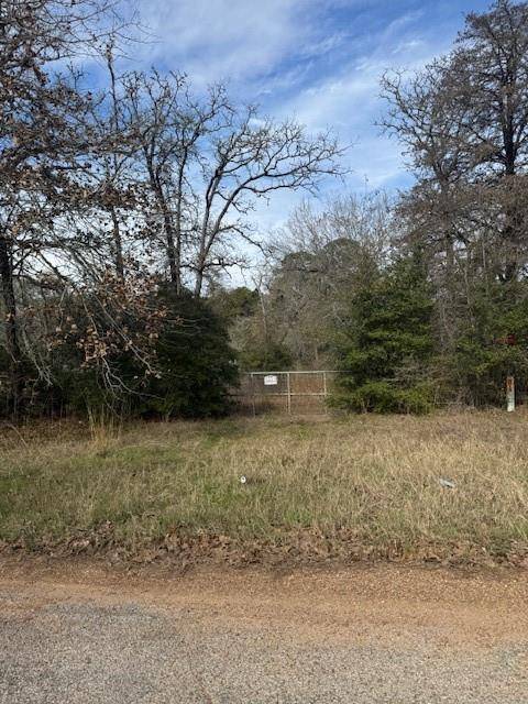 Paige, TX 78659,Lot 95 Travis RD