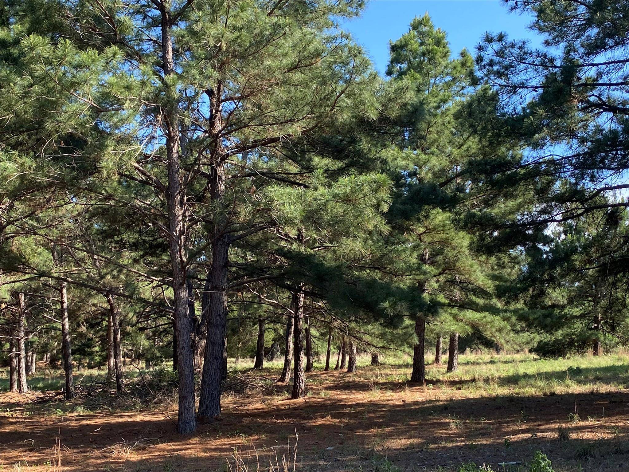 Bastrop, TX 78602,147 Oak Leaf DR
