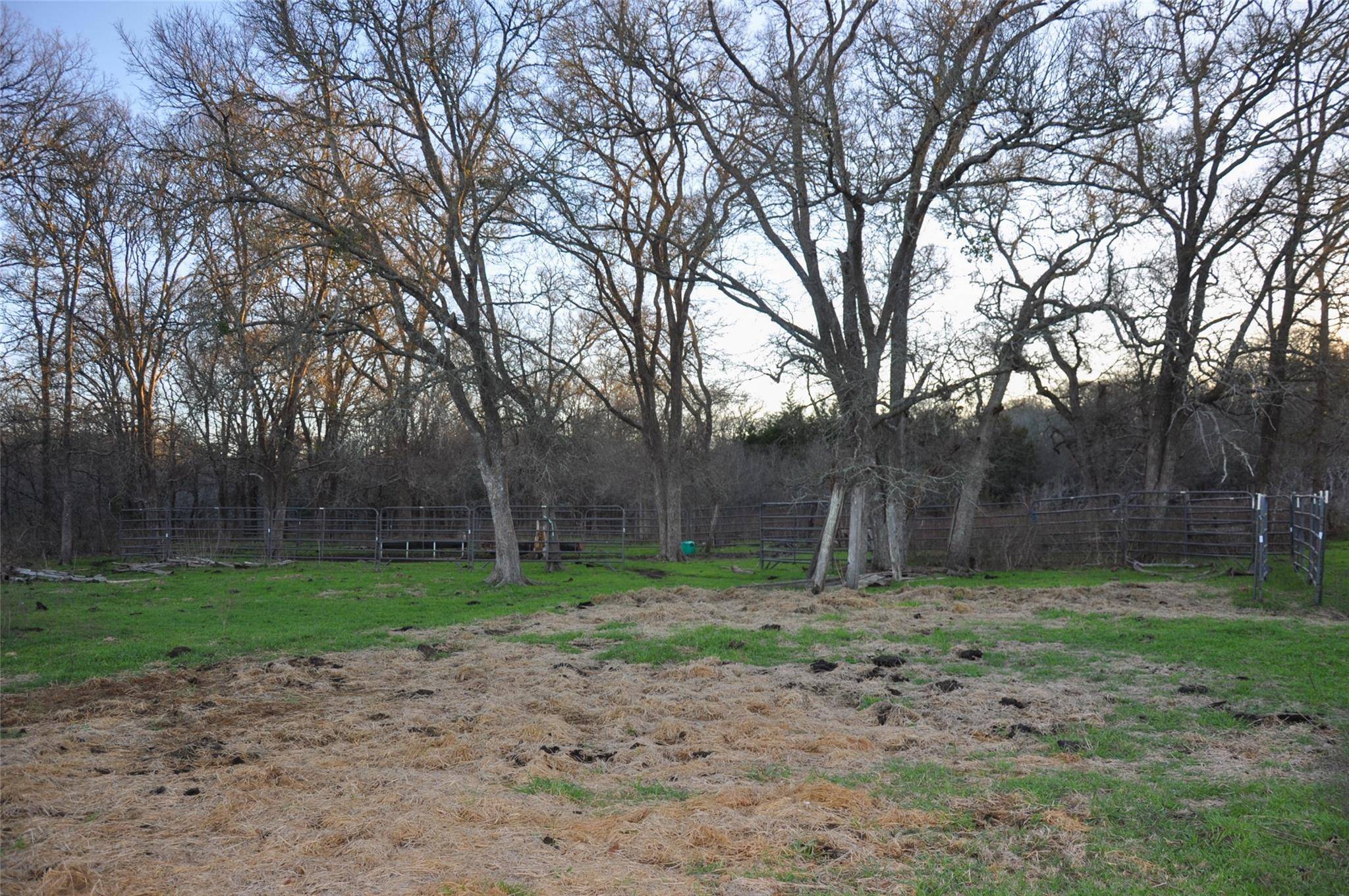 Paige, TX 78659,356 Paffen RD