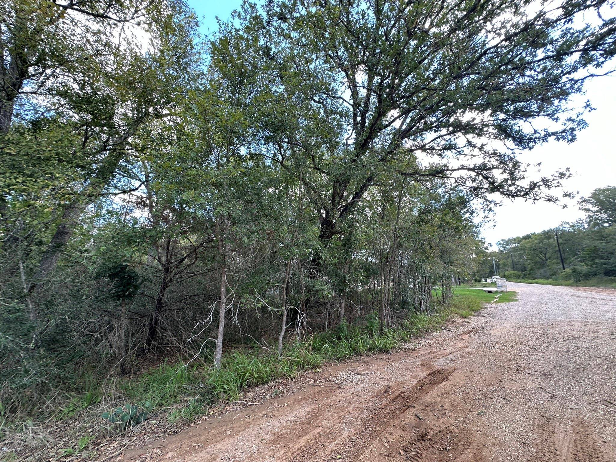 Bastrop, TX 78602,Lot 624 Hilea CT