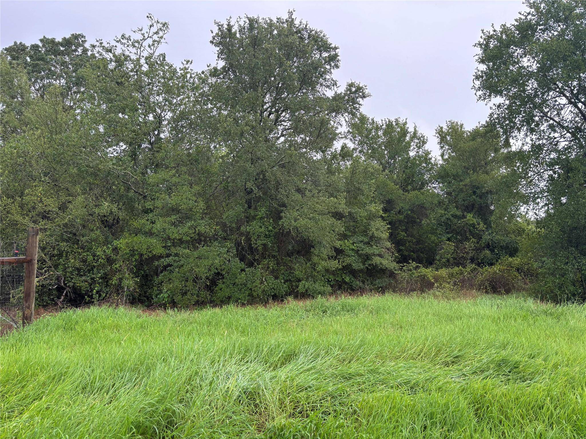 Bastrop, TX 78602,LOT 31 Blanket Flower DR