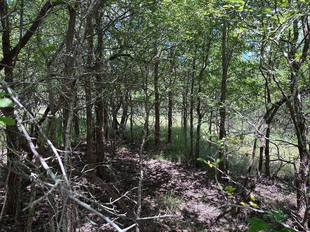 Bastrop, TX 78602,310 Riverside DR