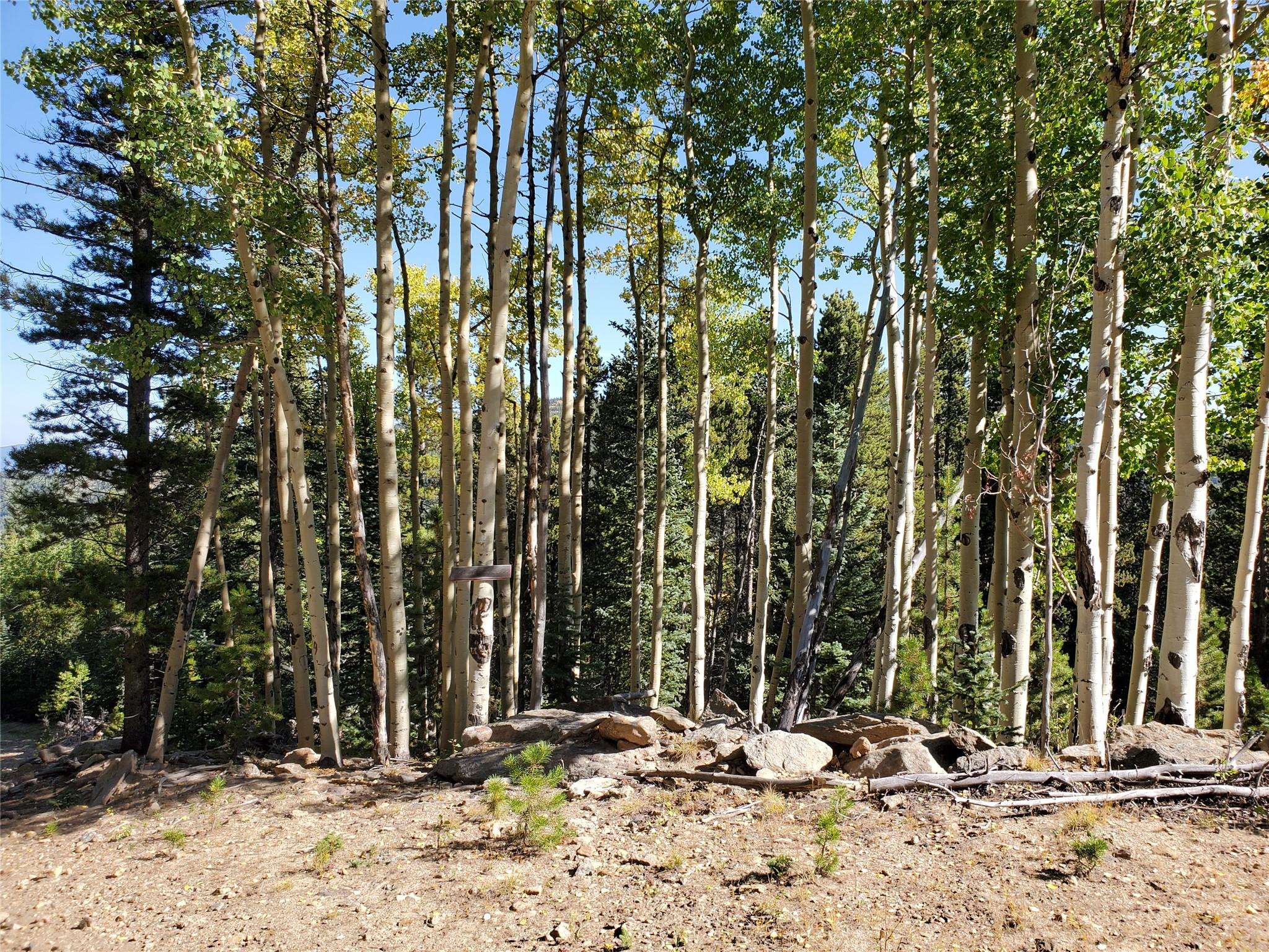 Out Of State, CO 80452,400 Long Road RD