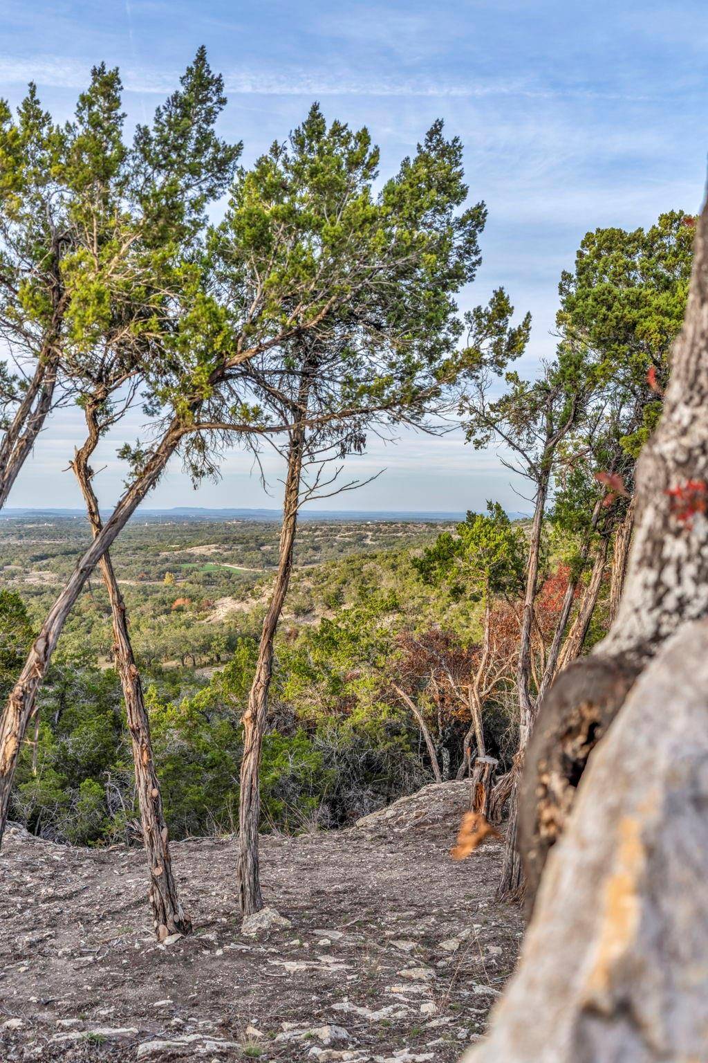 Dripping Springs, TX 78620,3300 FM 165 - Lot 20