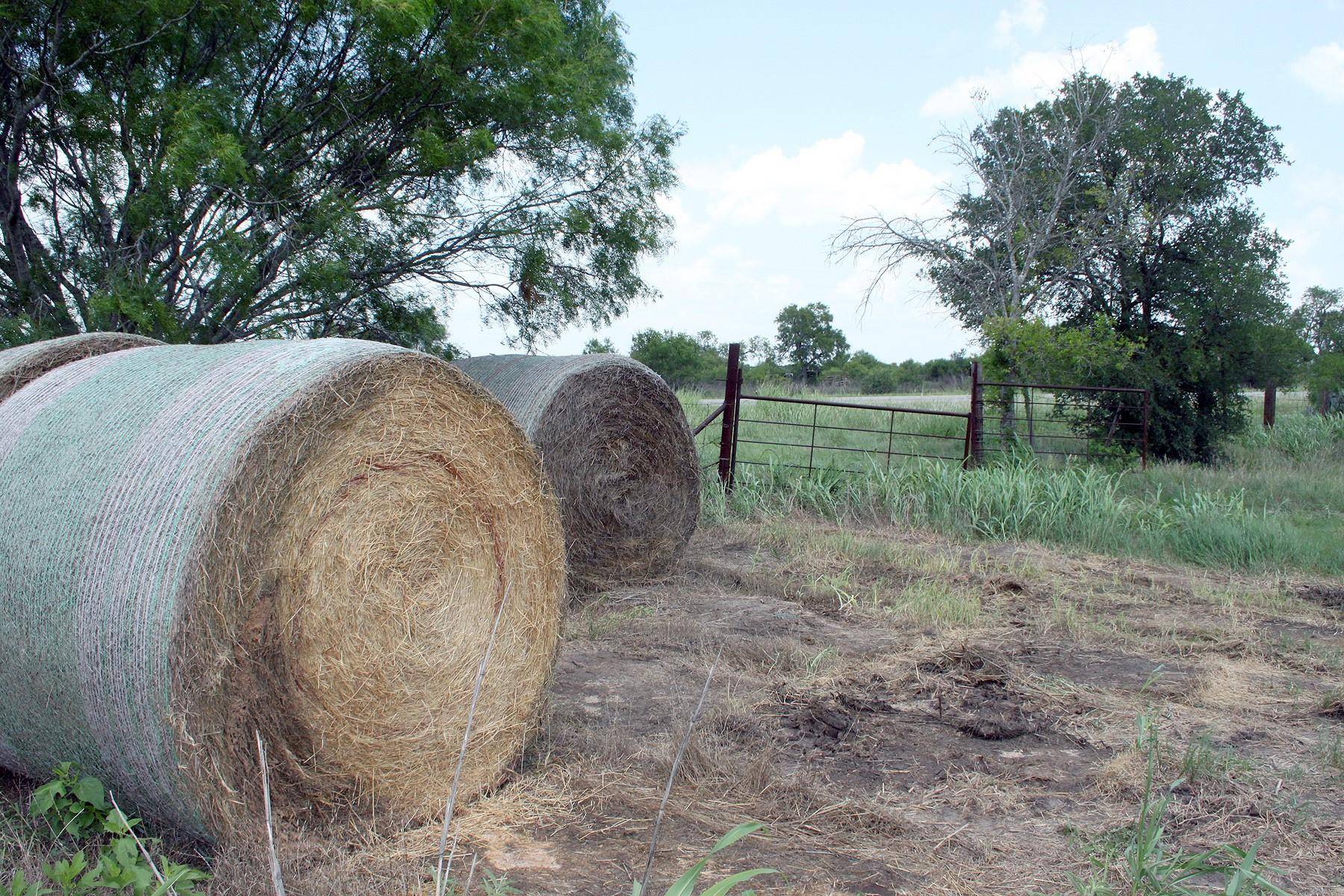Lockhart, TX 78644,TBD FM 86 HWY