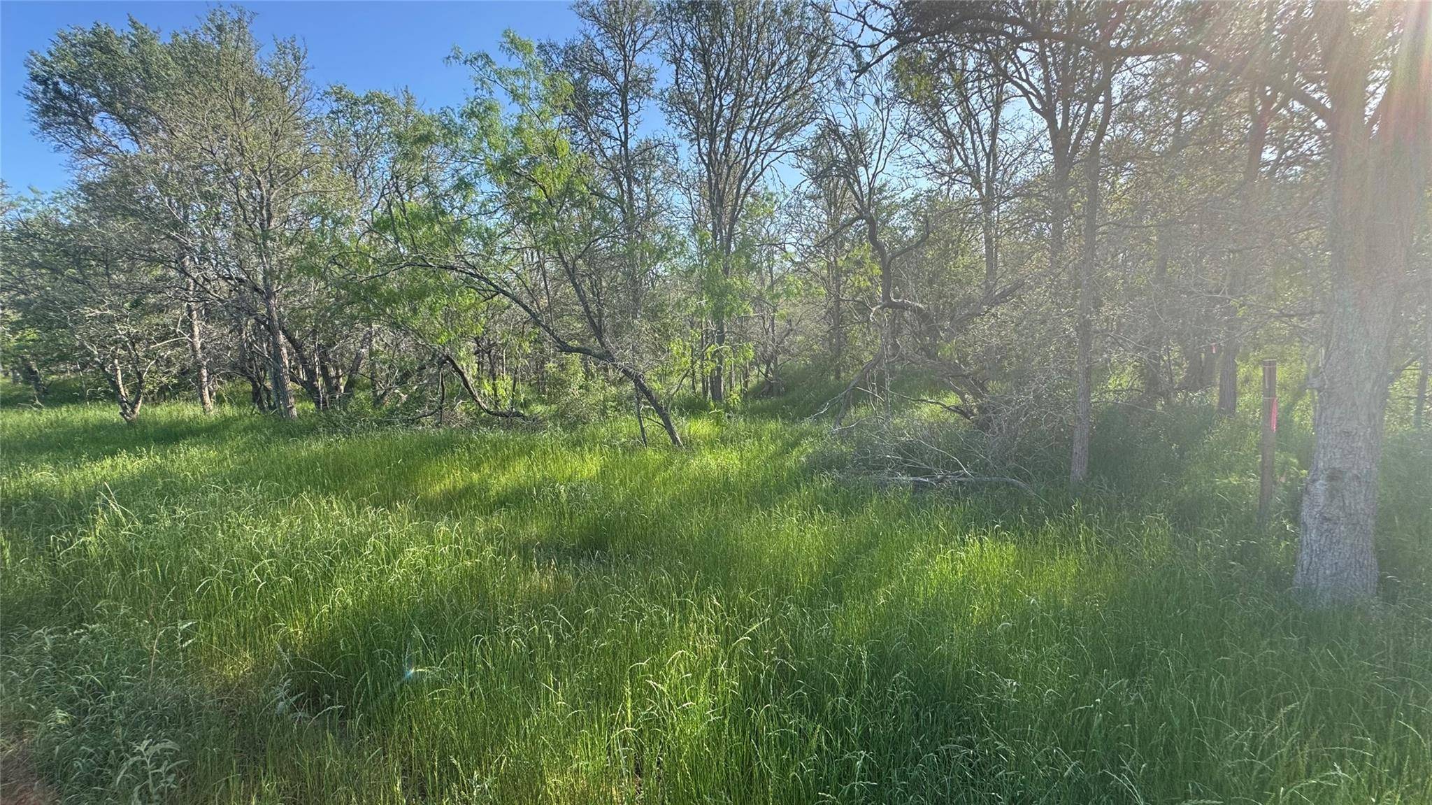 Bastrop, TX 78602,203 Mokulua LN