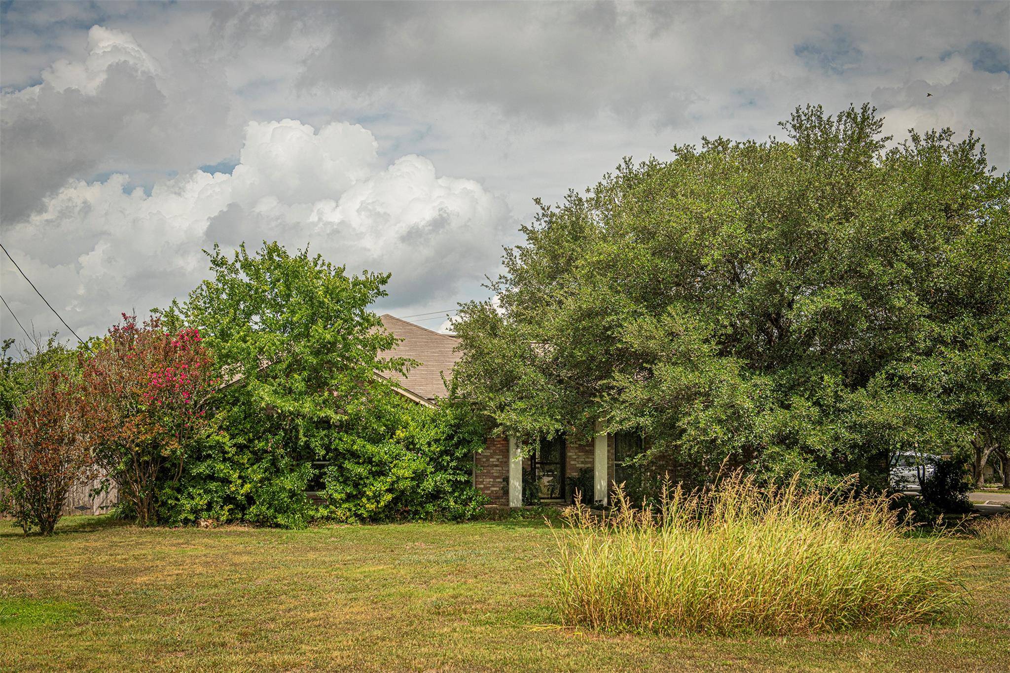 Kyle, TX 78640,402 Sunflower CV