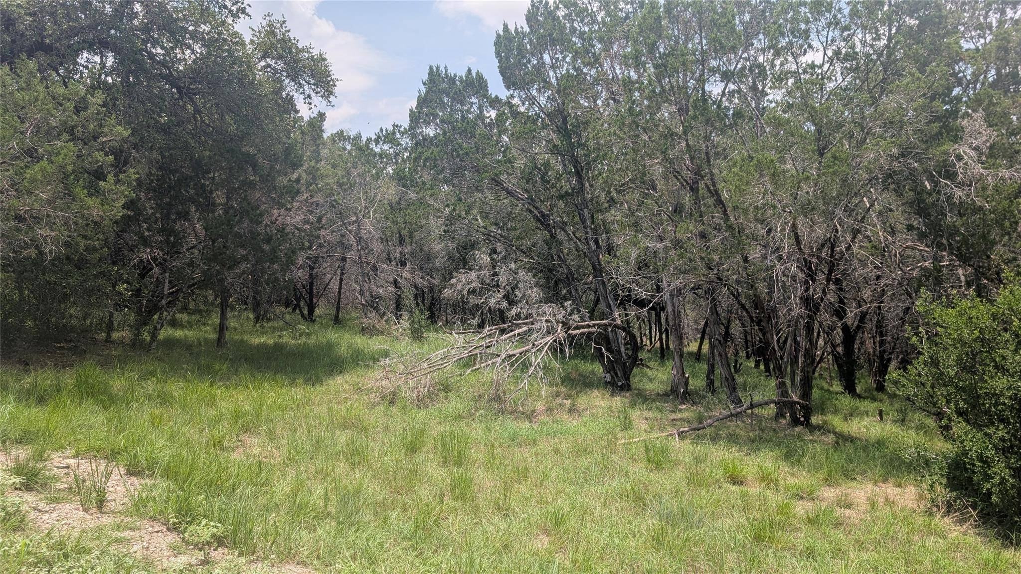 Horseshoe Bay, TX 78657,1109 Ponderosa BND
