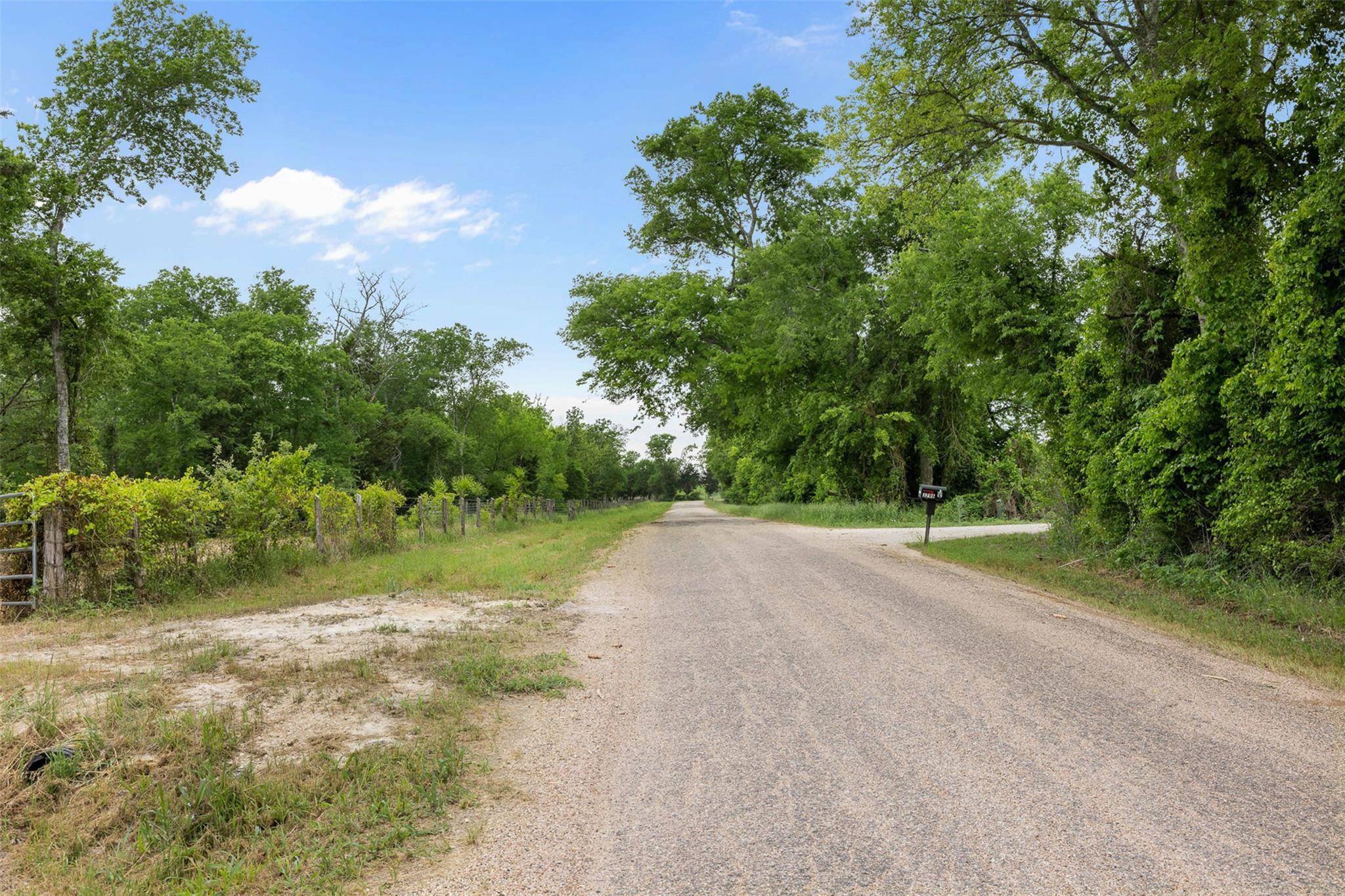 Caldwell, TX 77836,3797 County Road 328