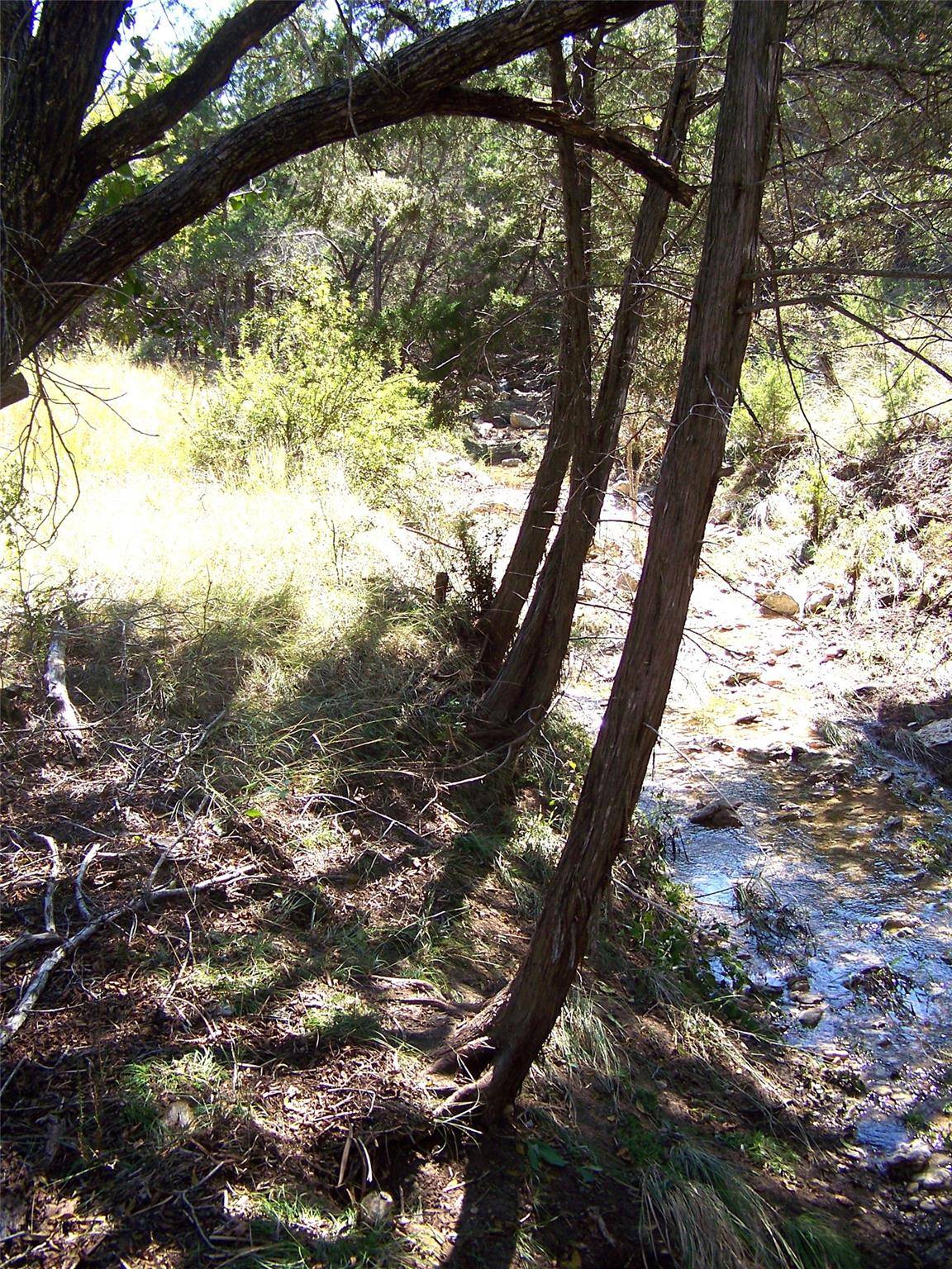 Dripping Springs, TX 78620,370-B Kothman RD