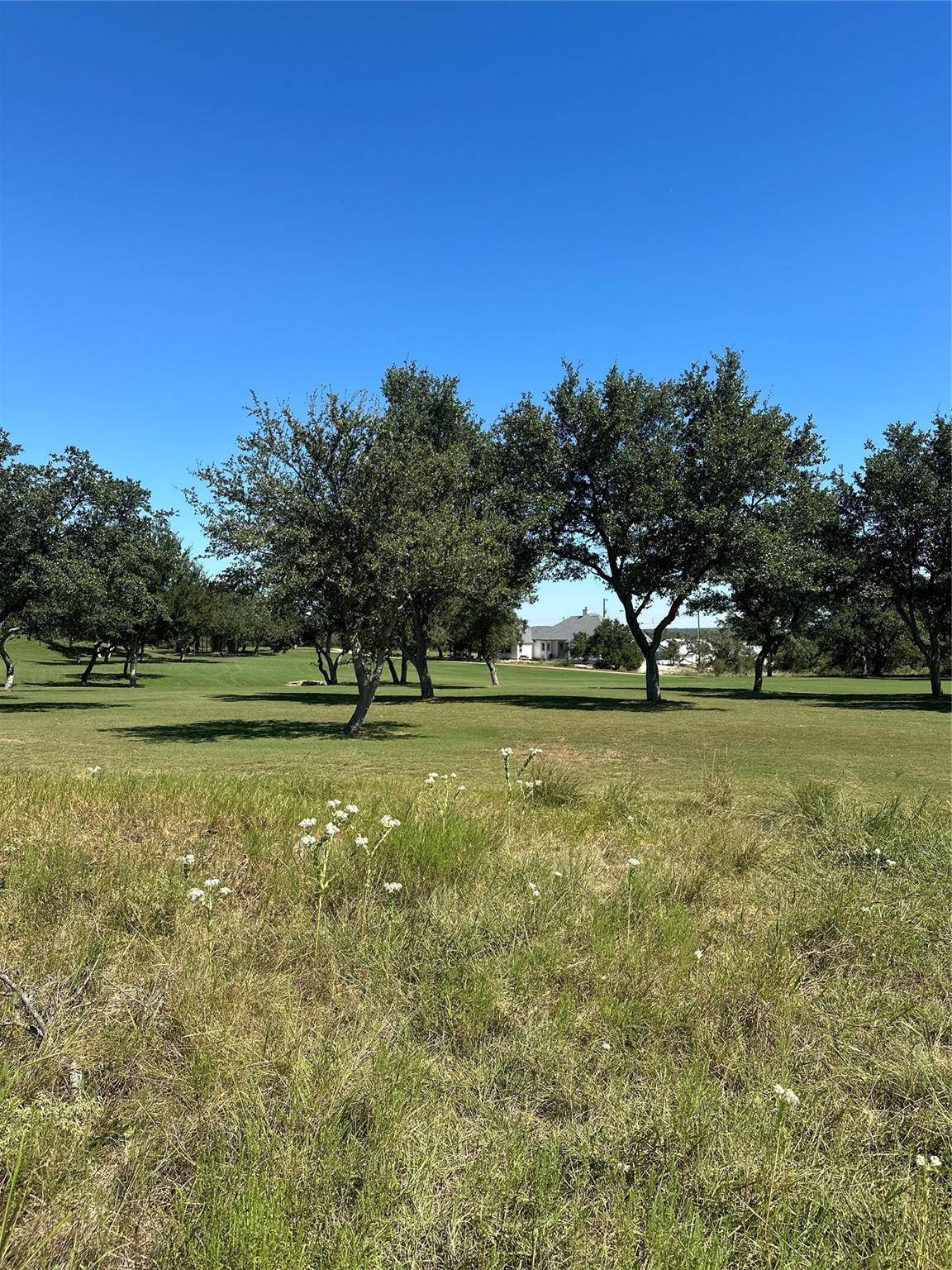 Blanco, TX 78606,107 Bryan Marsh