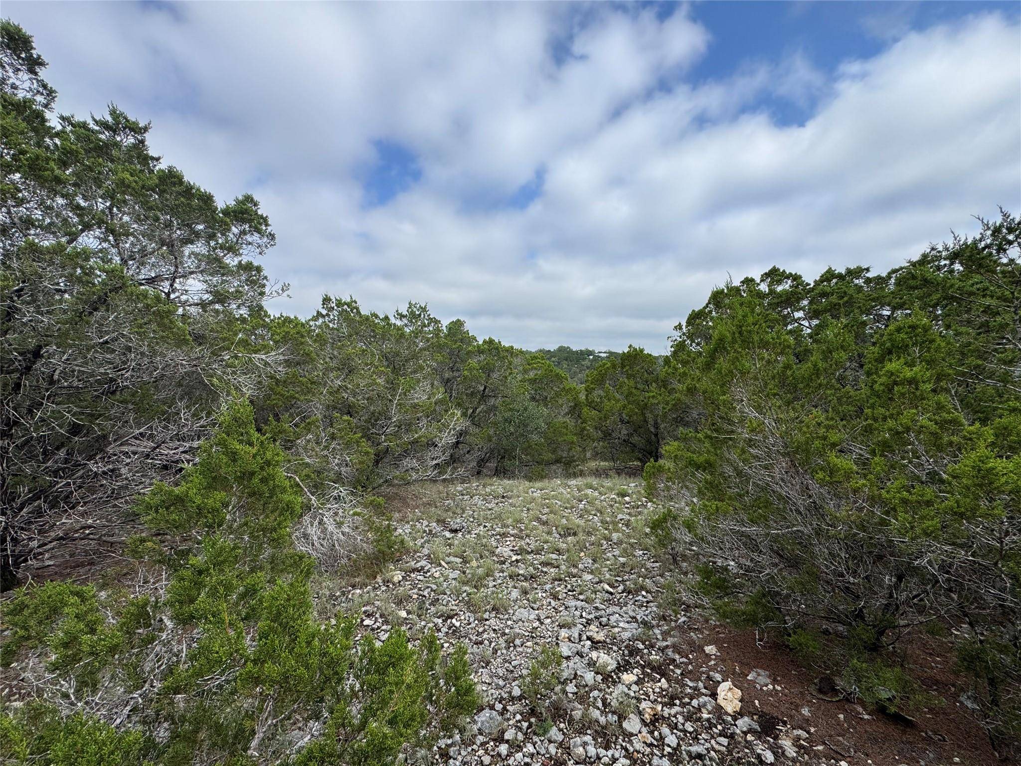 Lago Vista, TX 78645,8402 Angus TRL