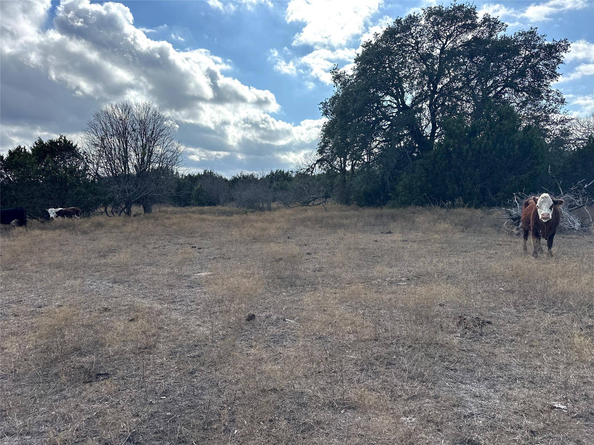 Lampasas, TX 76550,Lot 81 Reserve DR