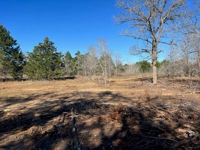 Paige, TX 78659,000 Grassyville RD