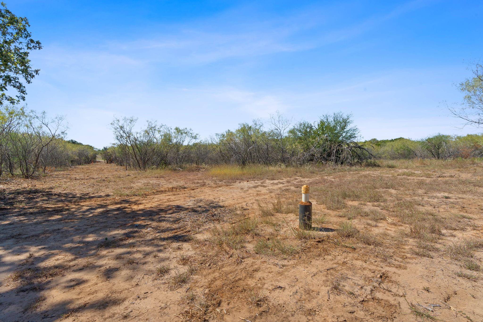 Dale, TX 78616,Lot 3 Tumbleweed TRL