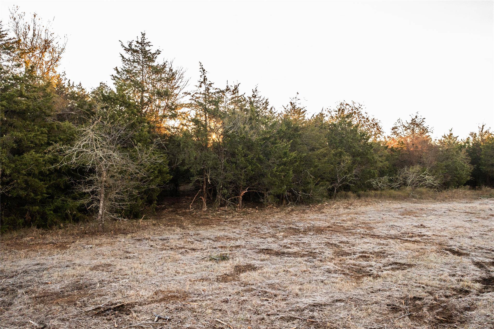 Paige, TX 78659,0000 TBD 21+/- Ac Grassyville RD