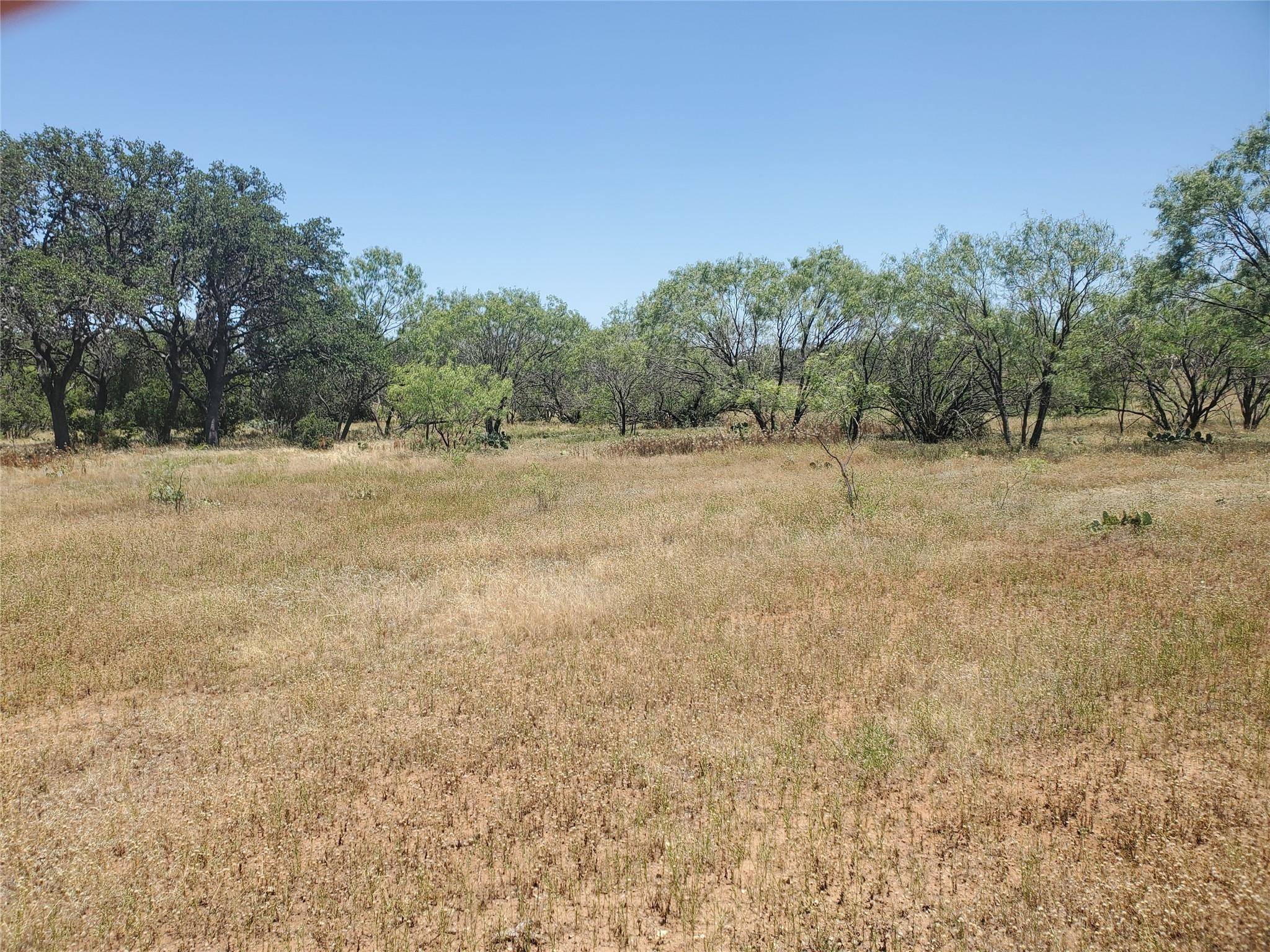 Johnson City, TX 78636,Lot 3 Mesquite RD