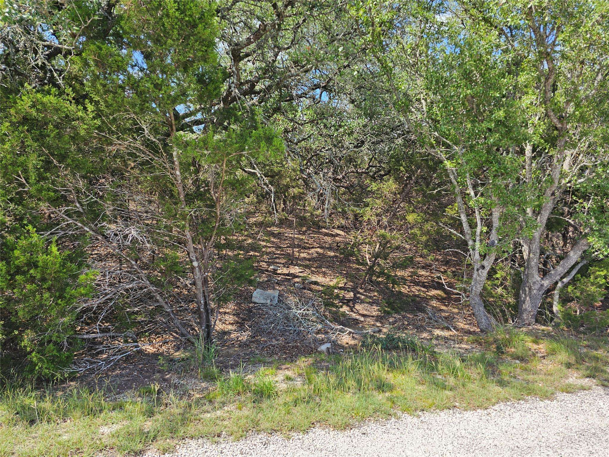 Dripping Springs, TX 78620,TBD Upland DR
