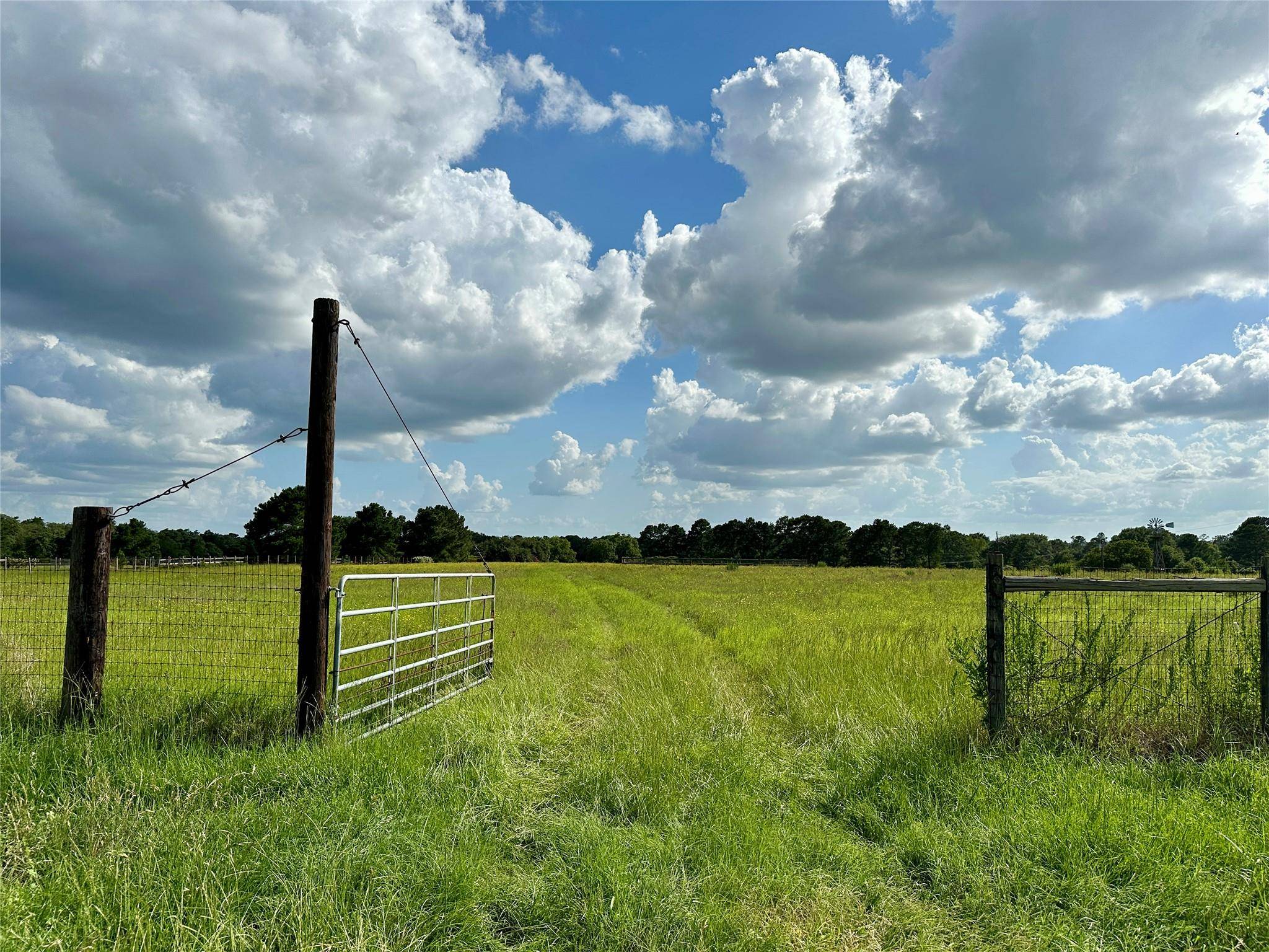 Paige, TX 78659,TBD Homestead CIR