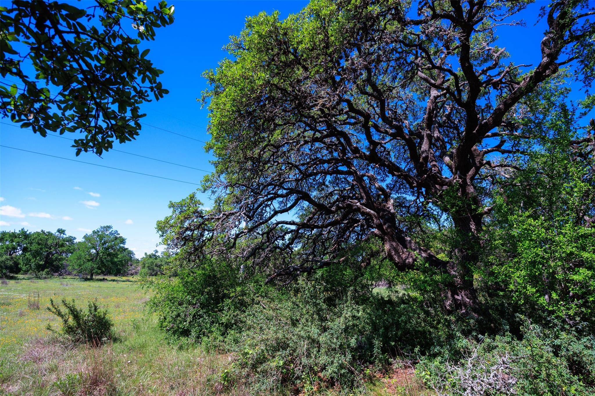 Dripping Springs, TX 78620,480 Blue Creek DR