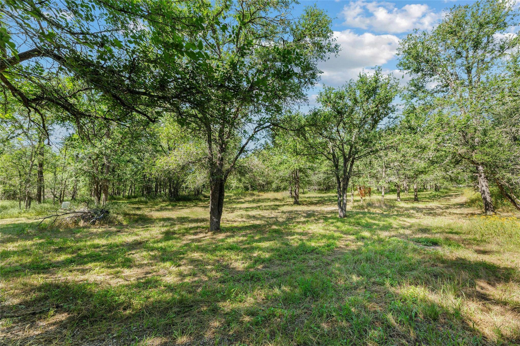 Elgin, TX 78621,209 Dry Willow RD