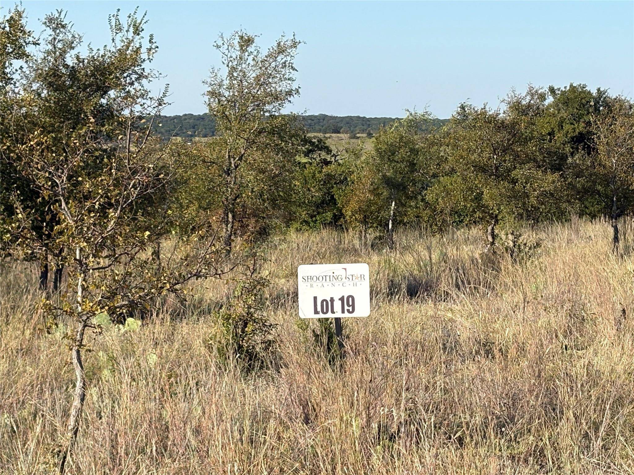 Lometa, TX 76853,19 Night Sky DR