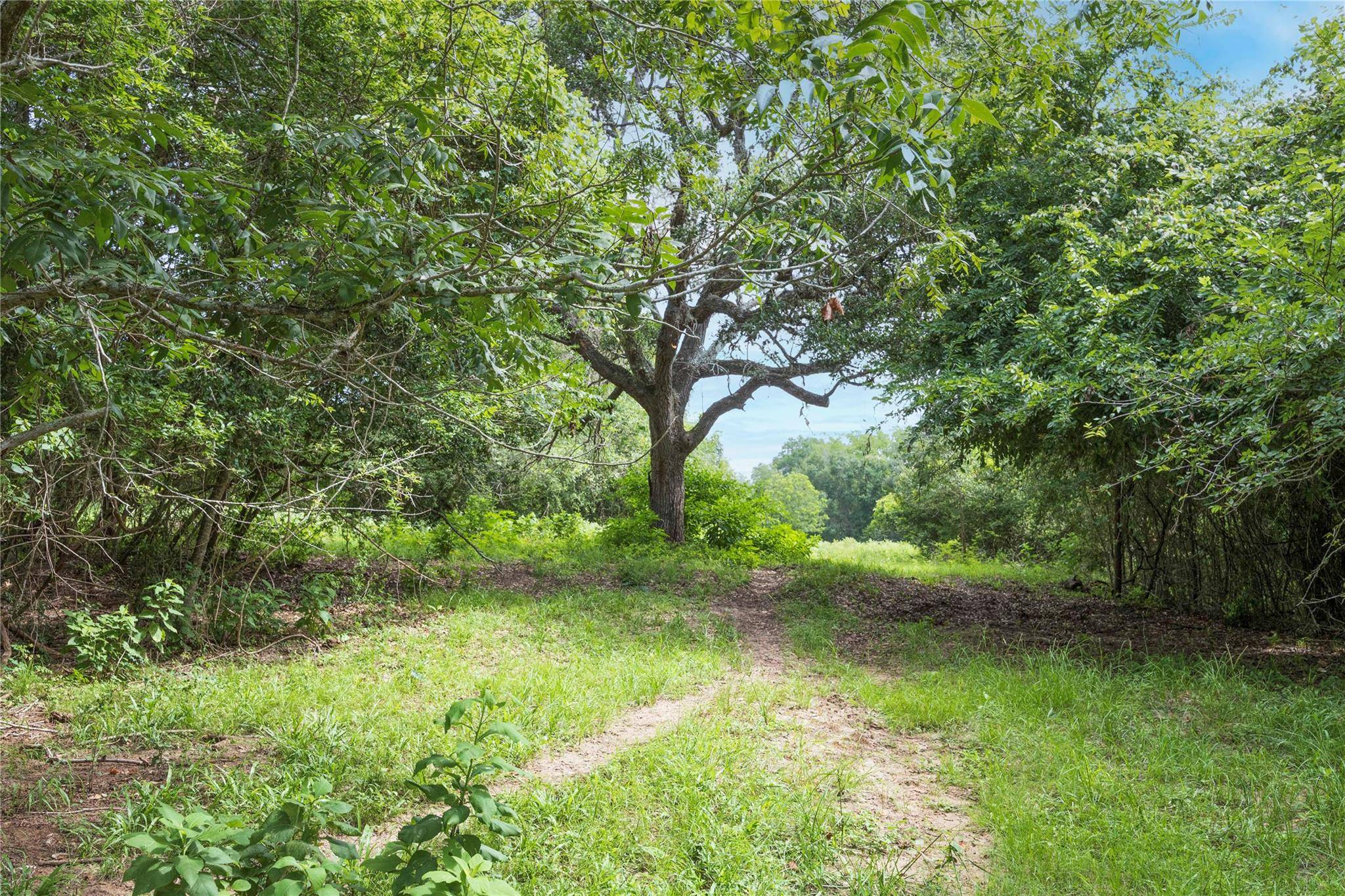 Hallettsville, TX 77964,03 CR 214
