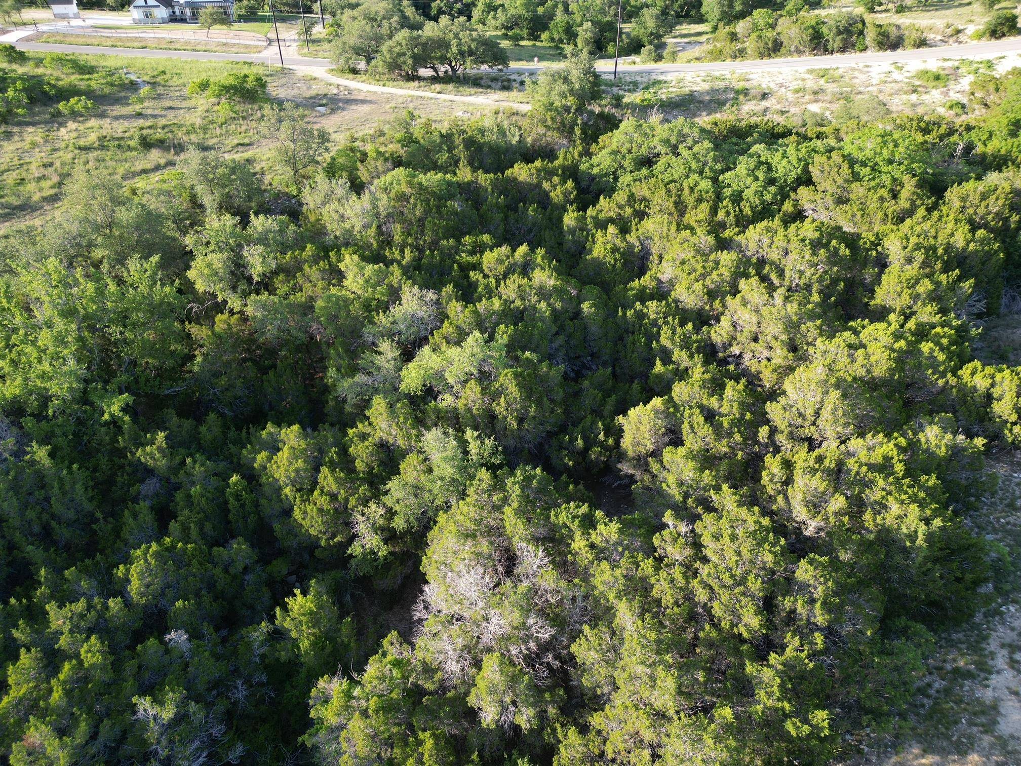 Bertram, TX 78605,Lot 76 Serenity DR