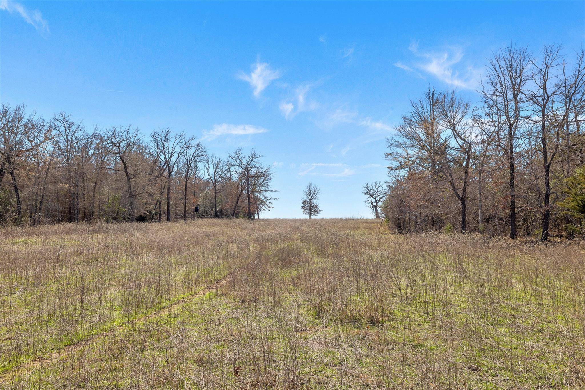 Milano, TX 76556,95 AC +/- County Road 234