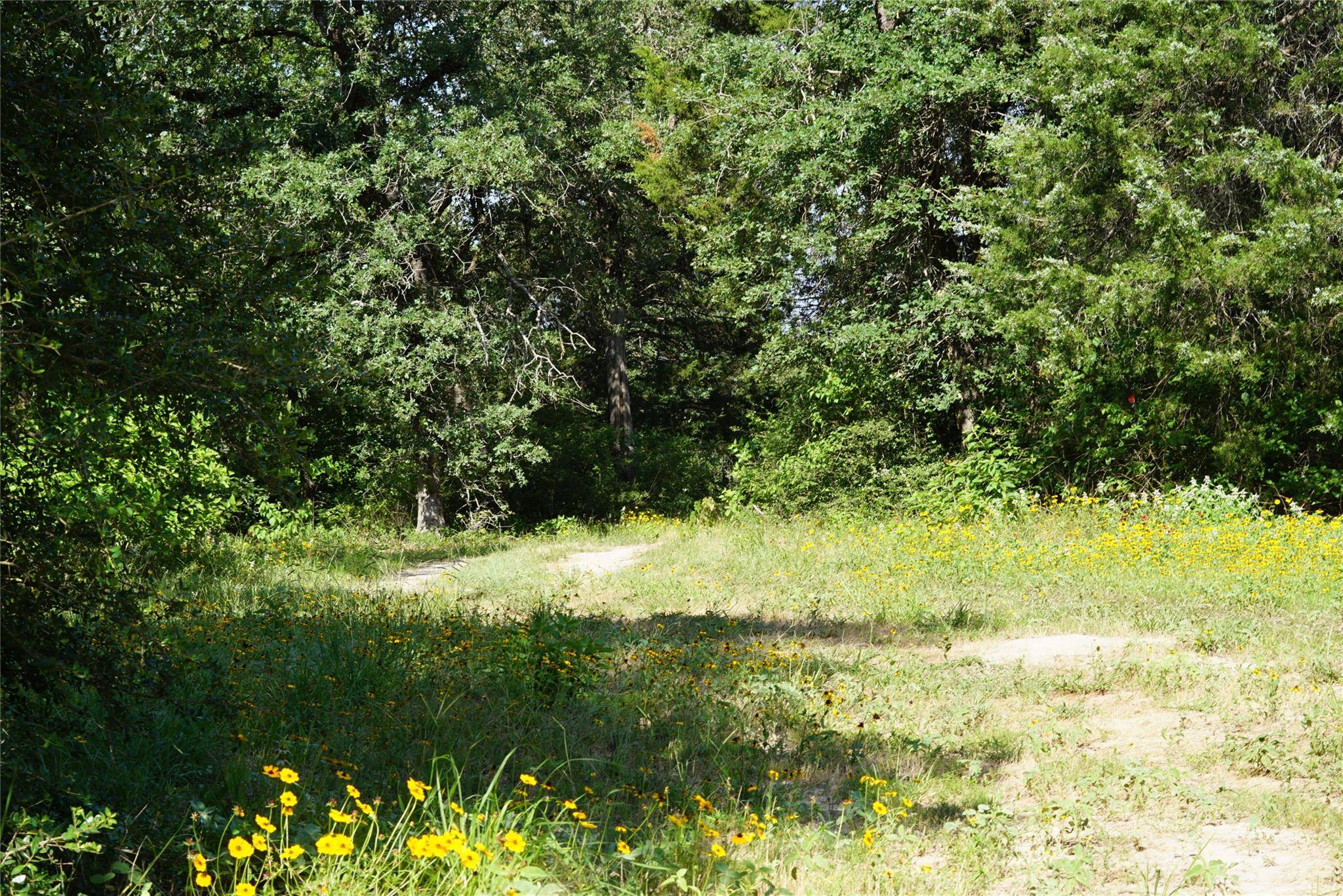 Rockdale, TX 76567,5857 County Road 322