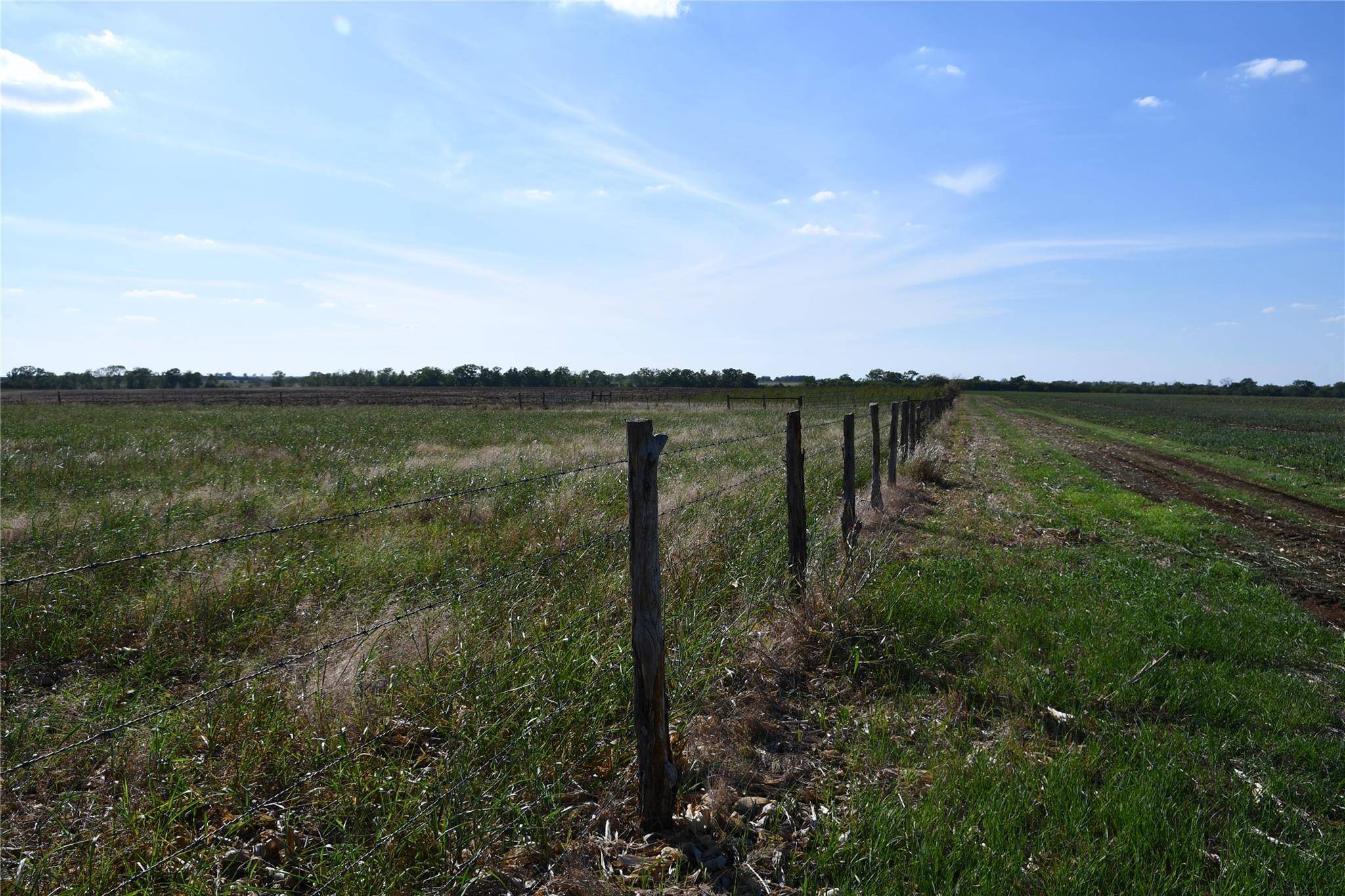 Oglesby, TX 76561,TBD 000 County Rd 269