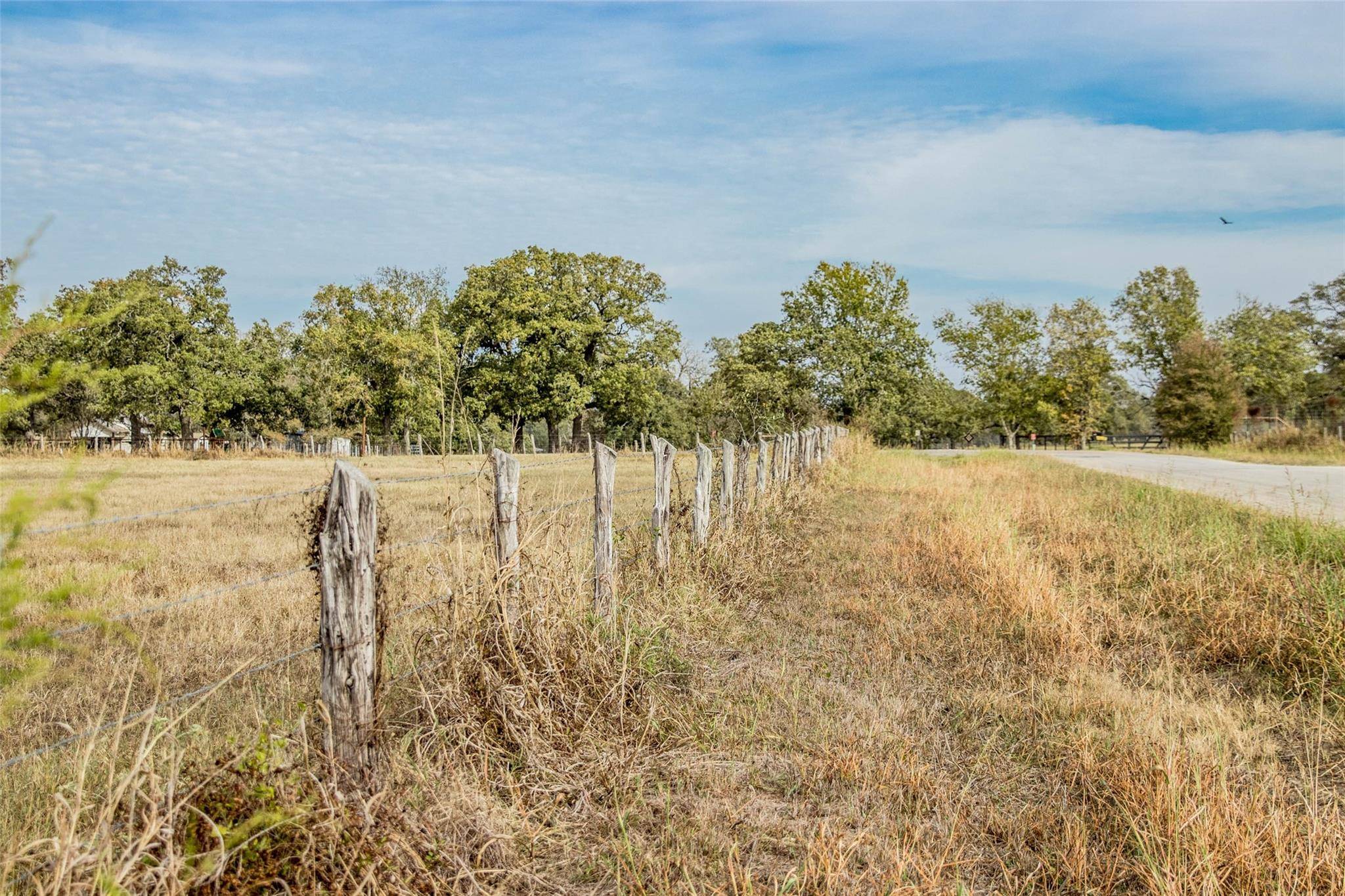 Caldwell, TX 77836,TBD County Road 236