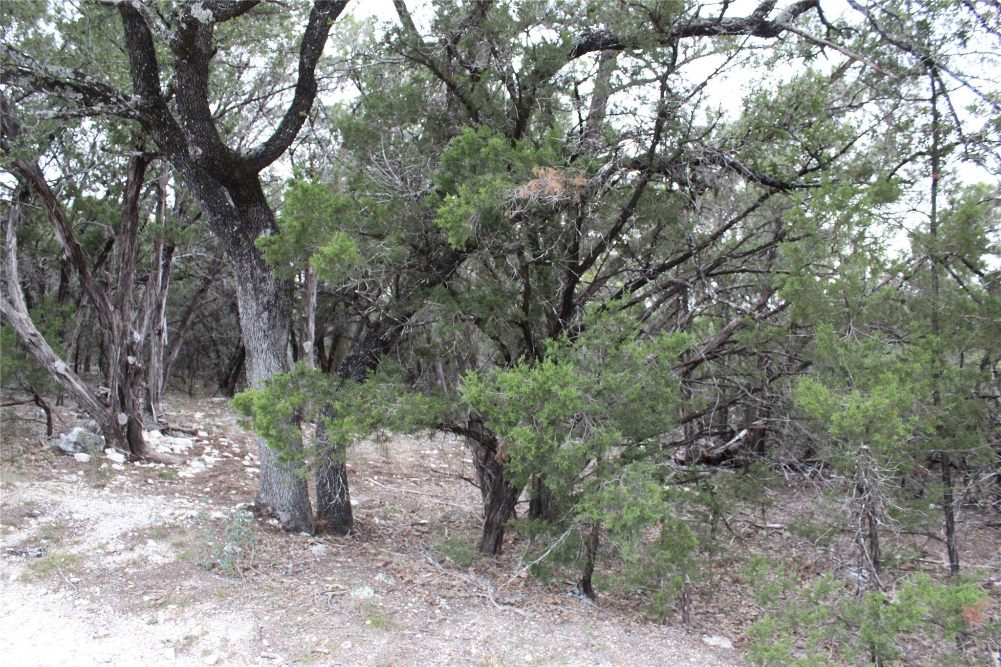 Lago Vista, TX 78645,20701 Northland DR