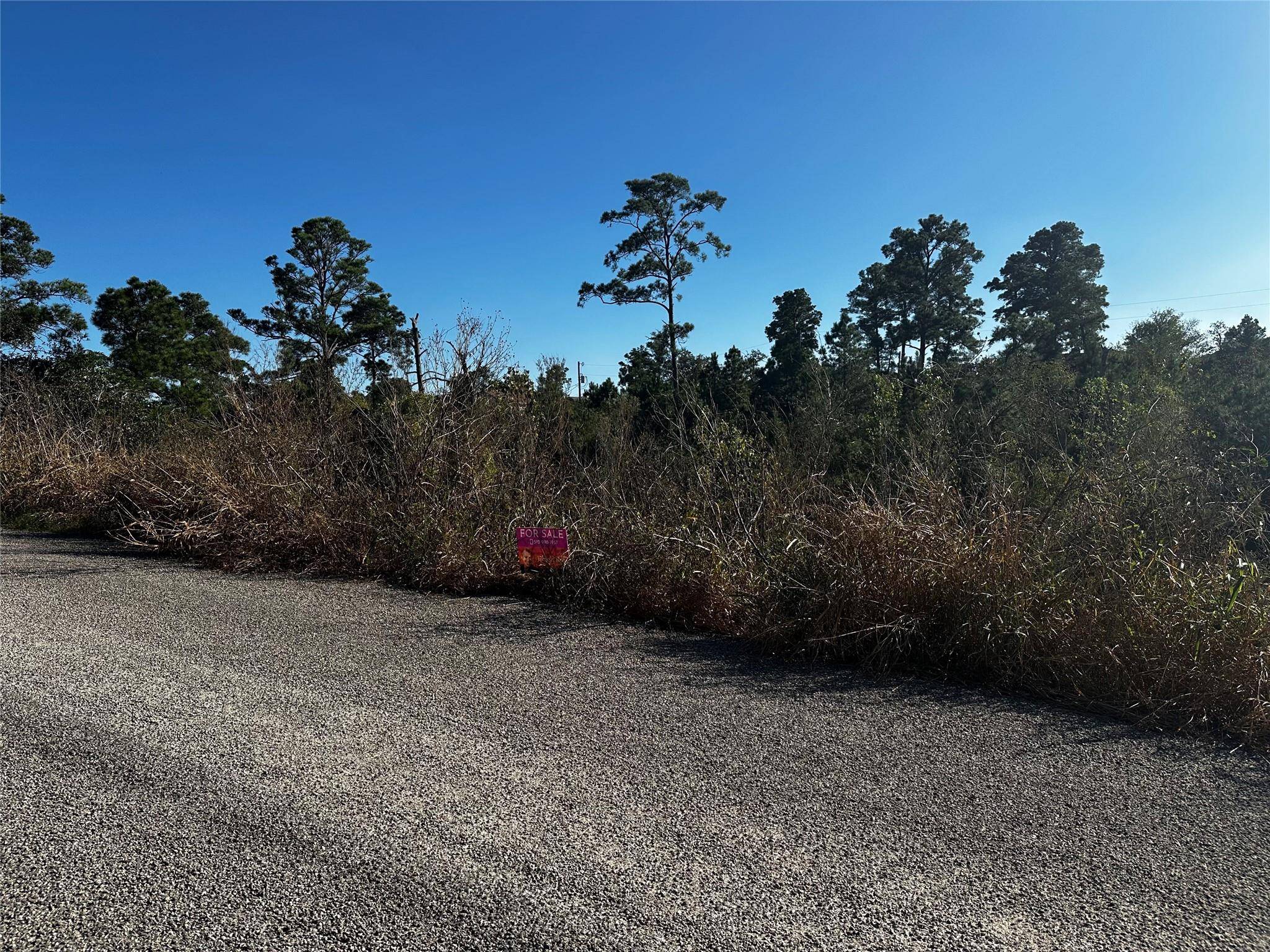 Bastrop, TX 78602,Lot 94 Aloha LN