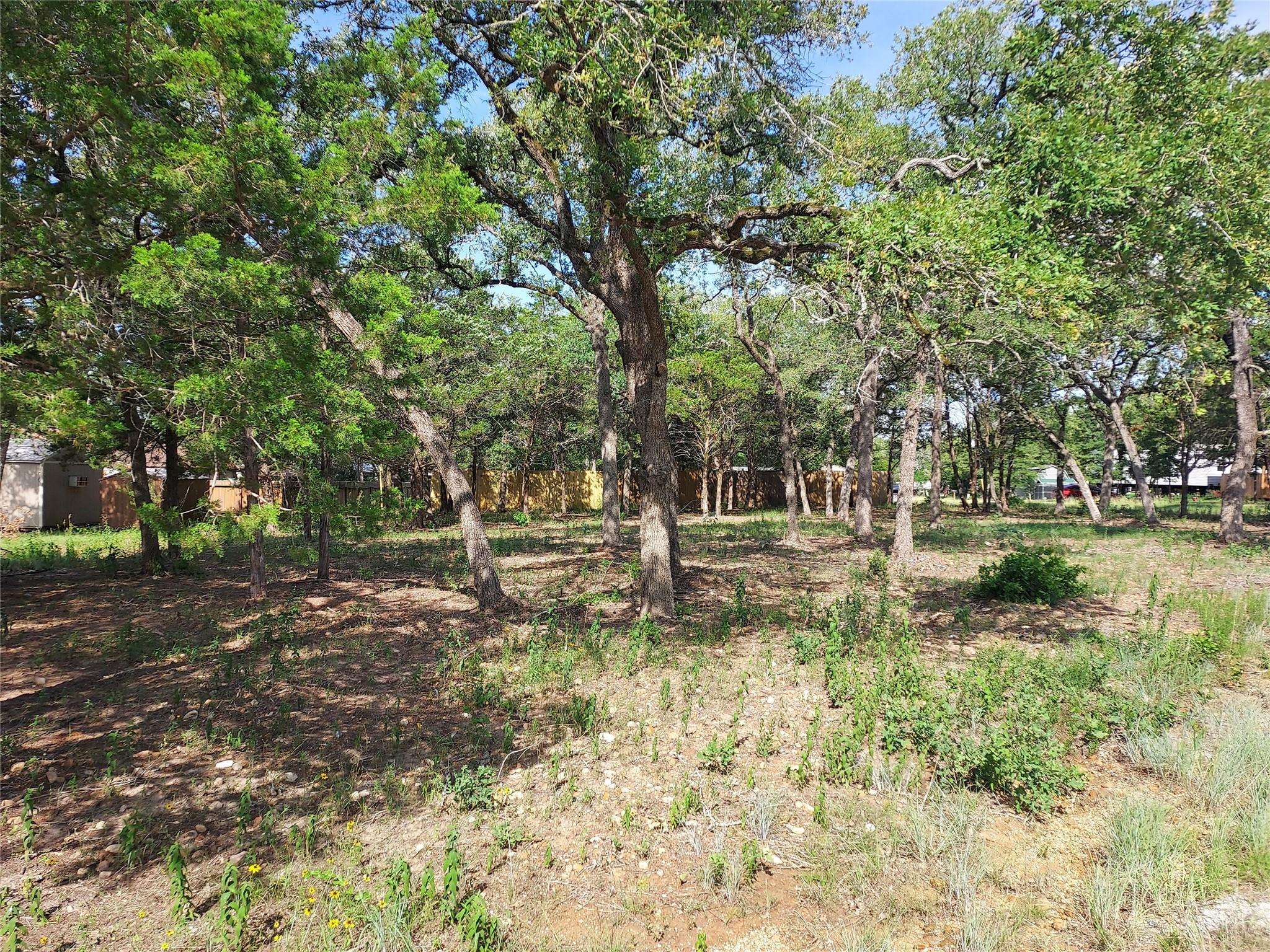 Smithville, TX 78957,000 Choctaw Trail DR