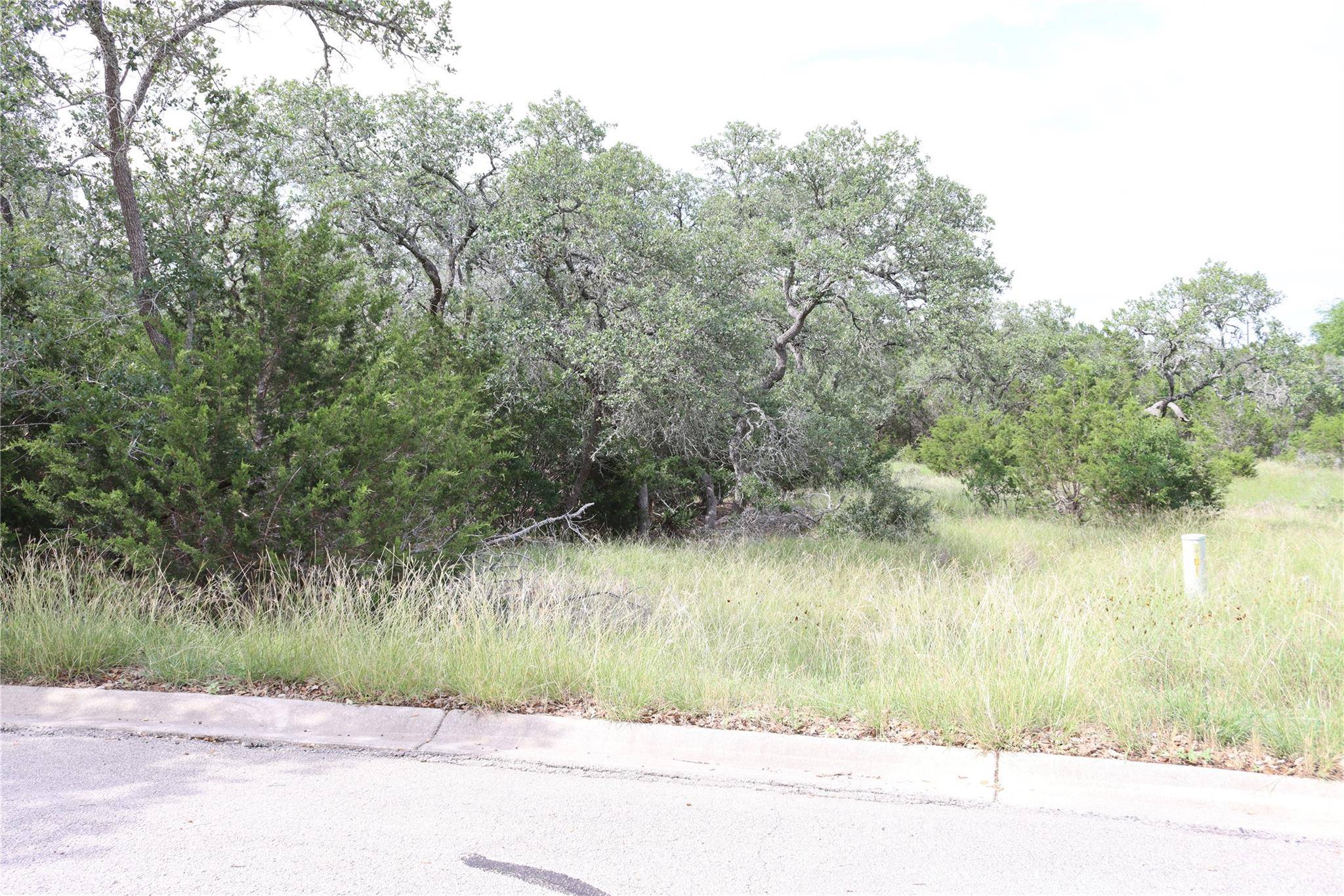 Spring Branch, TX 78070,106 Sabella