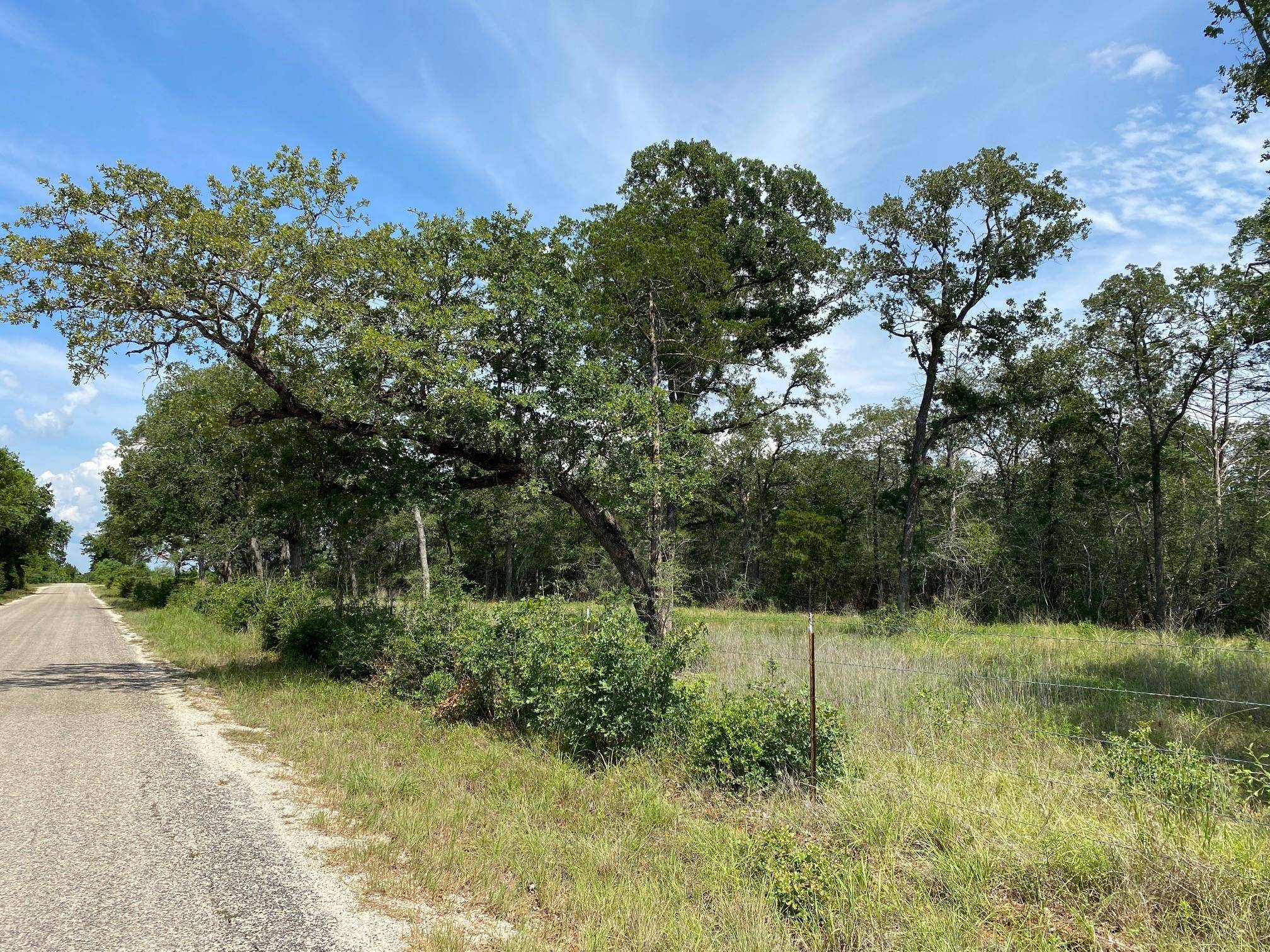 Smithville, TX 78957,TBD High Crossing Rd - TRACT 9