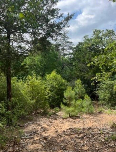 Bastrop, TX 78602,Lot 1114 Kaohikaipu DR