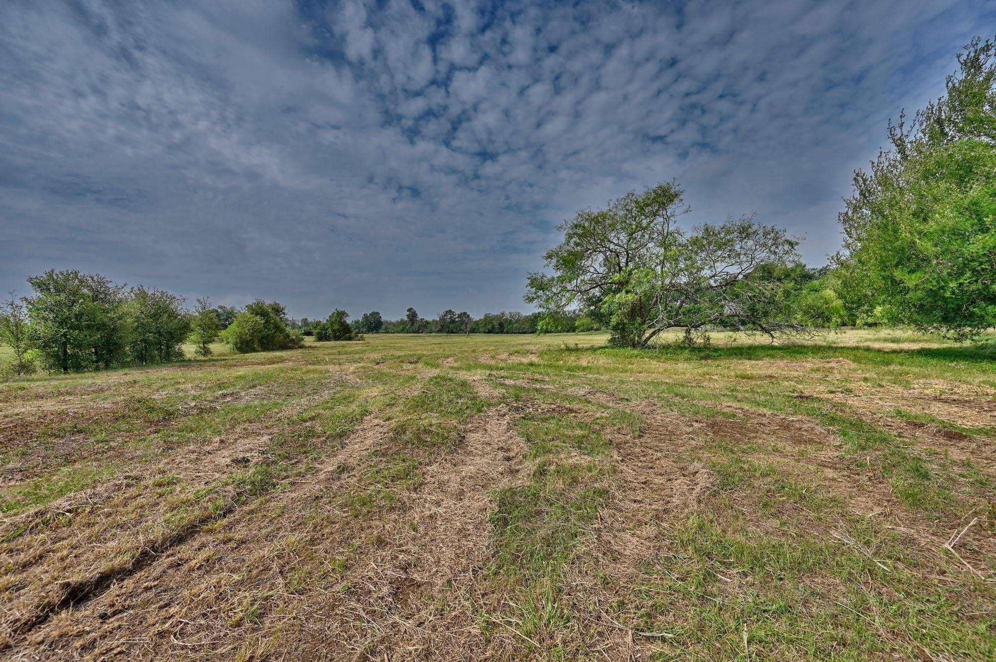 Paige, TX 78659,TBD (14.253 Acres) Lee County RD