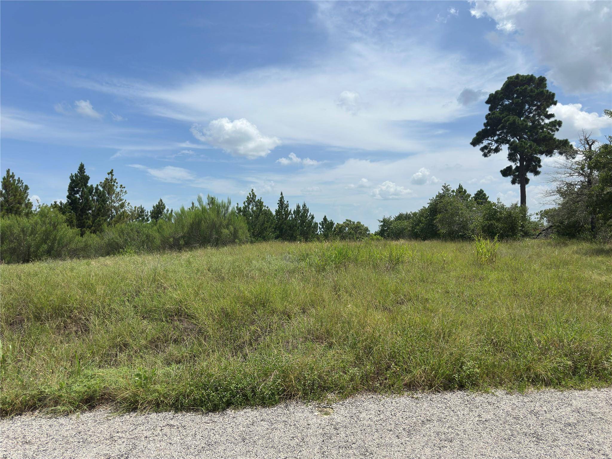 Bastrop, TX 78602,141 Tall Forest DR