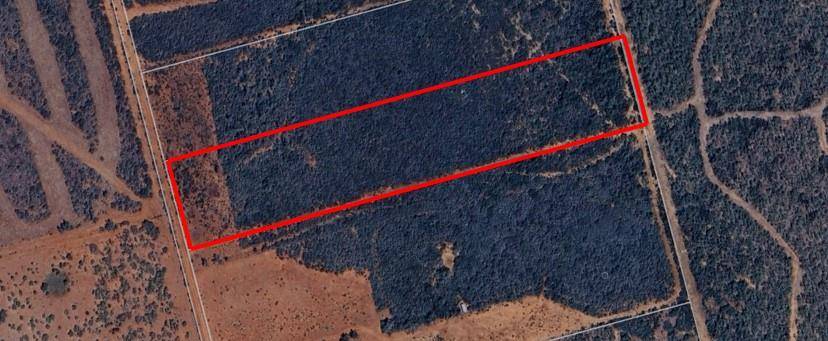 Charlotte, TX 78011,. County Road 354